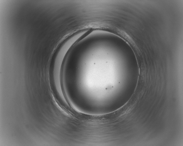 X0000070380530200606091128