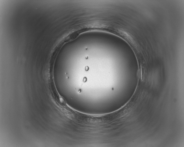 X0000070380531200606091128