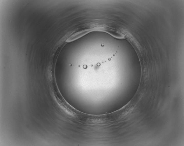 X0000070380533200606091128