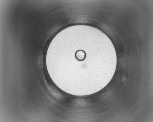 X0000070380534200606091128