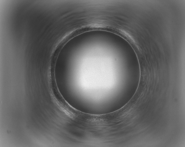 X0000070380535200606091128