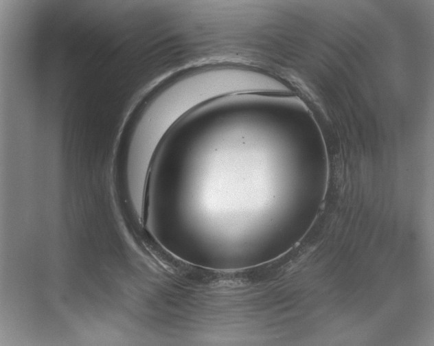 X0000070380536200606091128