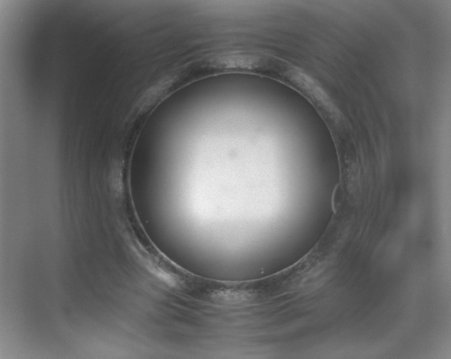 X0000070380537200606091128