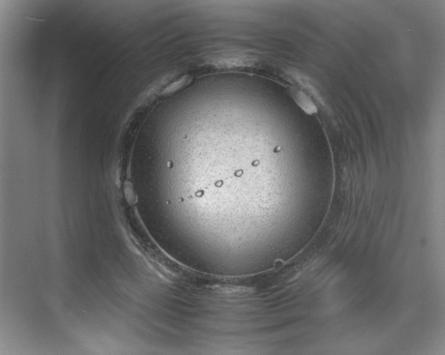 X0000070380539200606091128