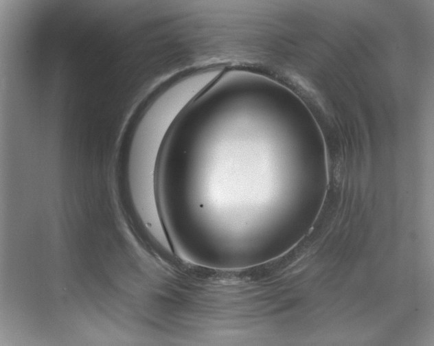 X0000070380540200606091128