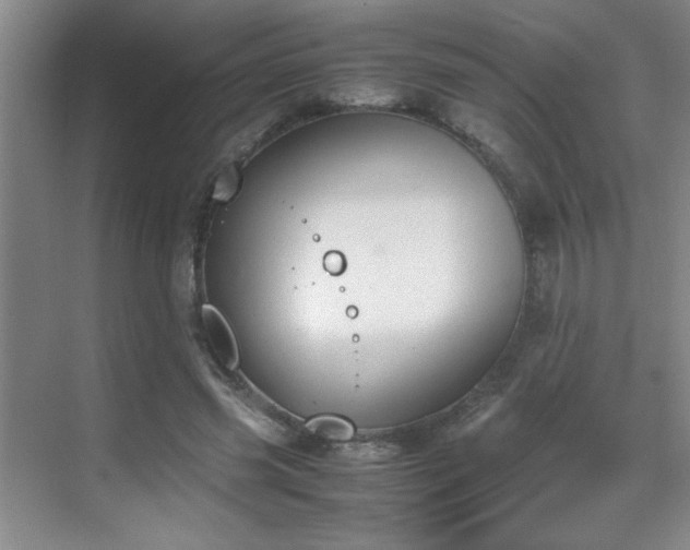 X0000070380541200606091128