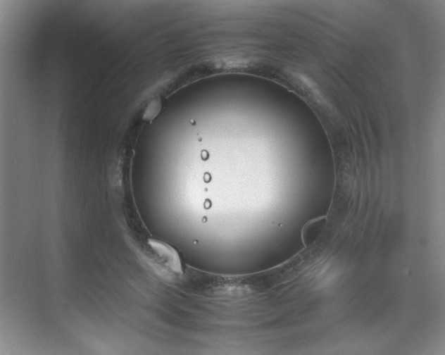 X0000070380543200606091128