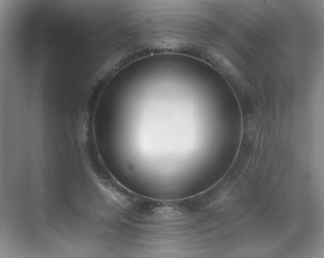 X0000070380544200606091128