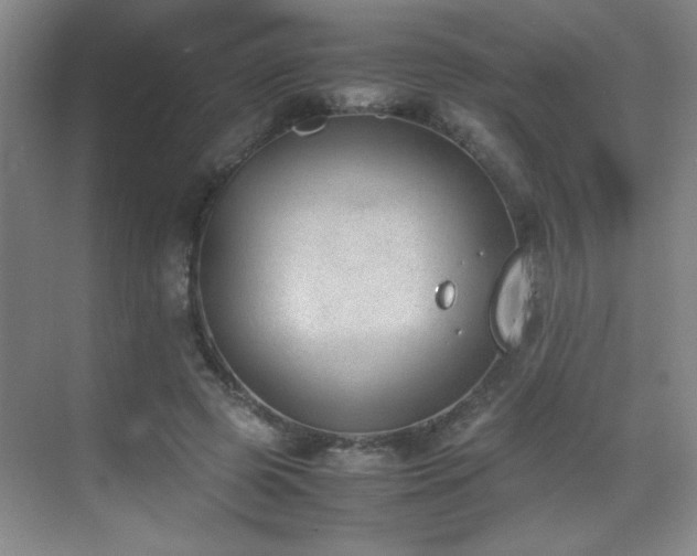 X0000070380545200606091128