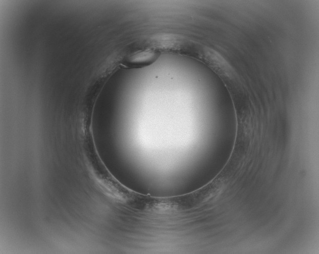 X0000070380546200606091128