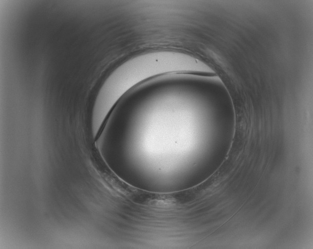 X0000070380548200606091128