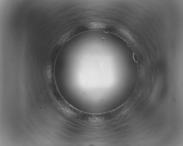 X0000070380549200606091128