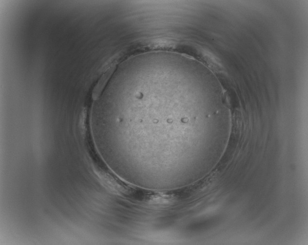 X0000070380550200606091128