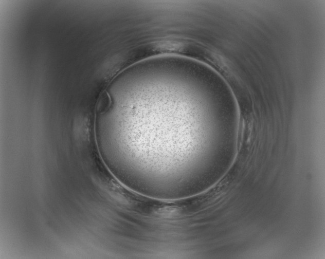 X0000070380551200606091128