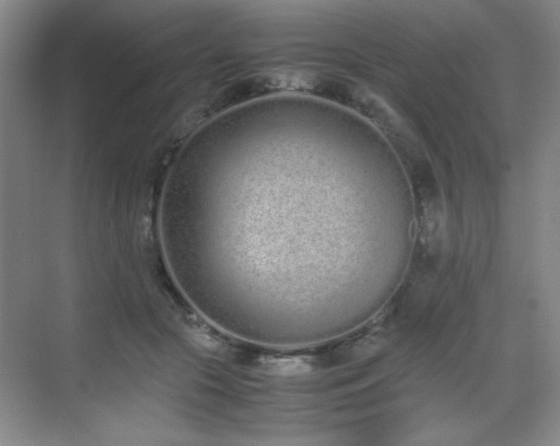 X0000070380553200606091128