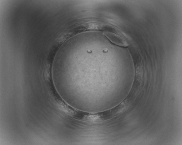 X0000070380554200606091128