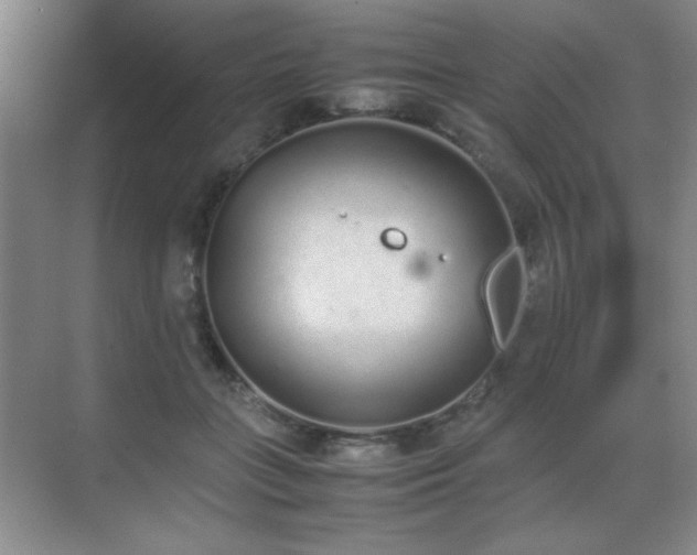 X0000070380555200606091128