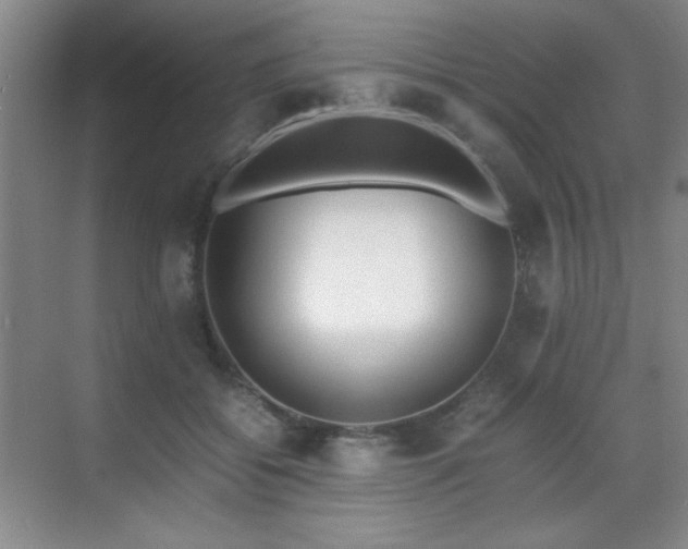 X0000070380556200606091128