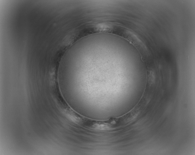 X0000070380557200606091128