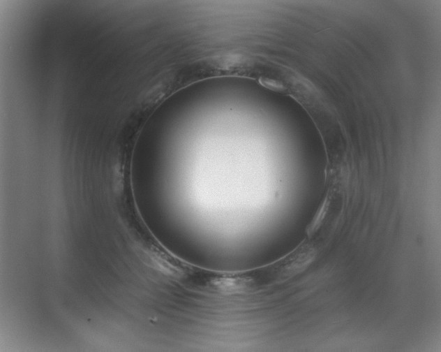 X0000070380558200606091128