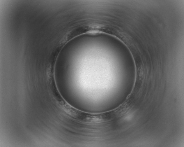 X0000070380559200606091128