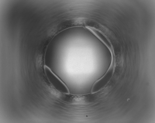 X0000070380560200606091128