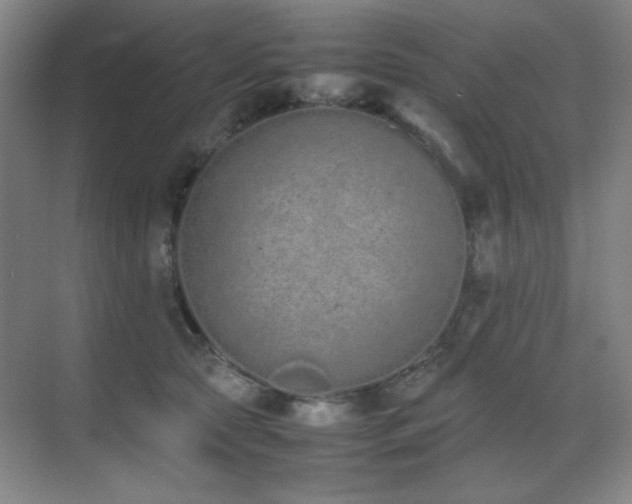 X0000070380561200606091128