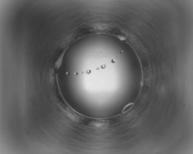 X0000070380563200606091128