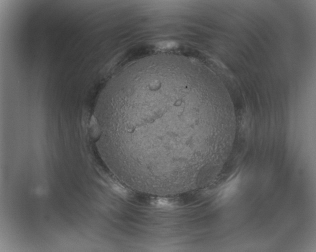 X0000070380565200606091128