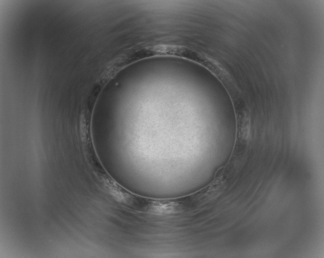 X0000070380569200606091128