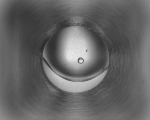 X0000070380570200606091128