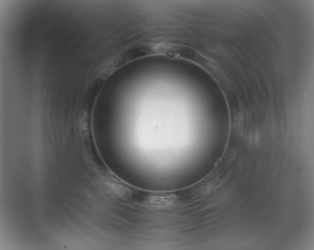 X0000070380571200606091128