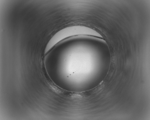 X0000070380572200606091128