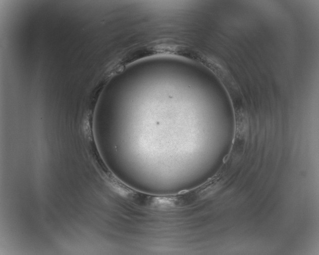 X0000070380573200606091128