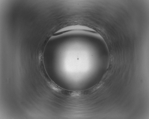 X0000070380574200606091128