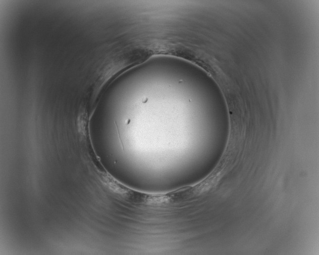 X0000070380576200606091128