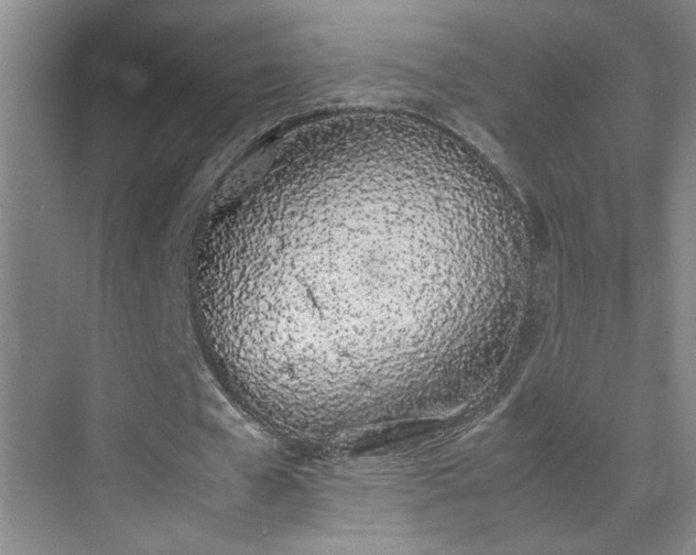 X0000070380577200606091128