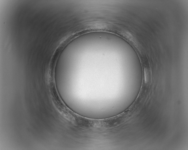 X0000070380579200606091127