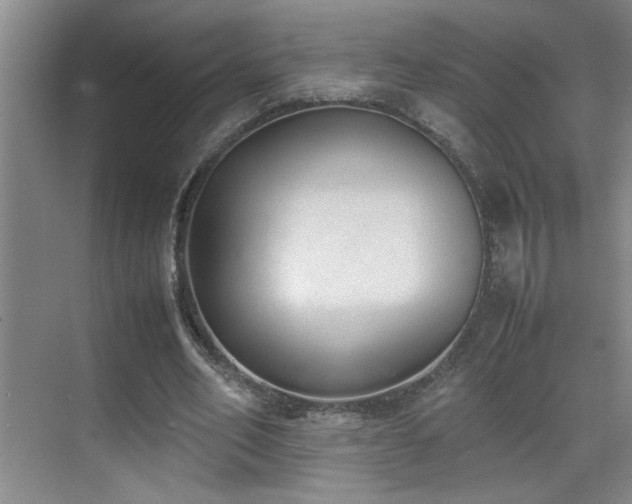 X0000070380582200606091127