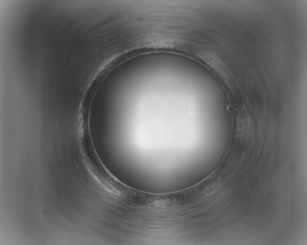 X0000070380584200606091127