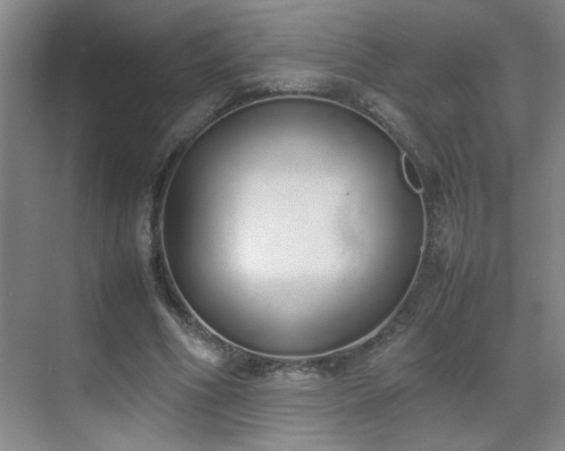 X0000070380586200606091127