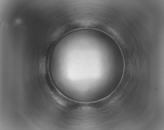 X0000070380590200606091127