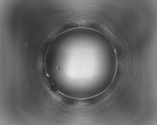 X0000070380593200606091127