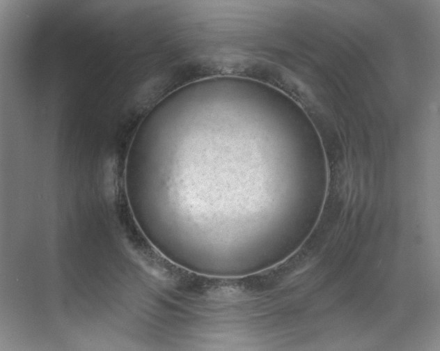 X0000070380594200606091127