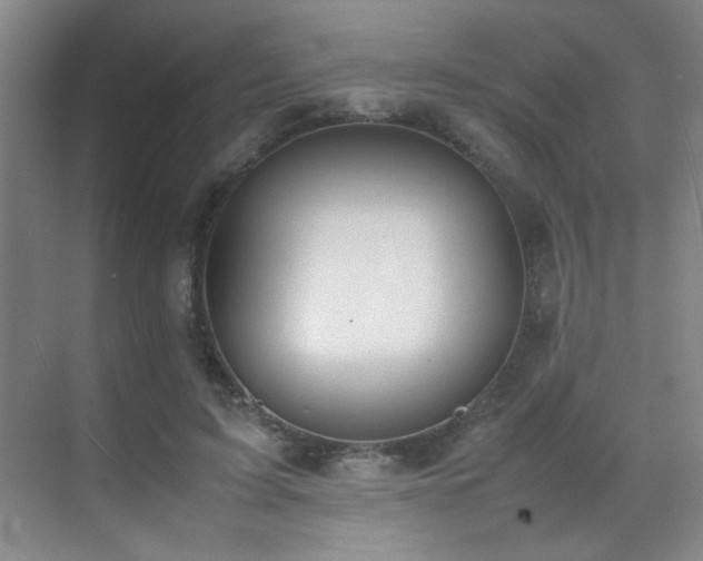 X0000070380595200606091127