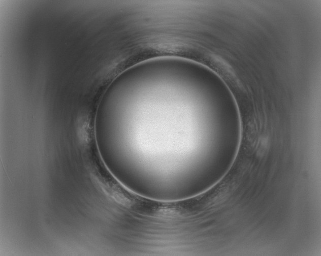 X0000070380596200606091127