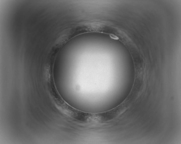 X0000070380599200606091127