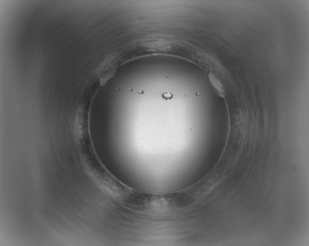 X0000070380600200606091127