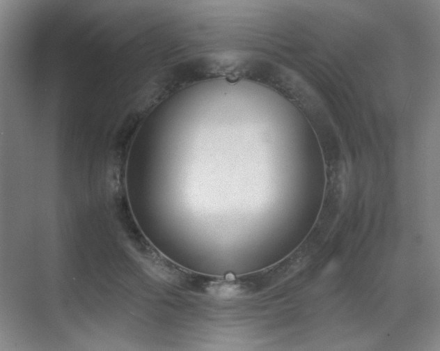 X0000070380602200606091127