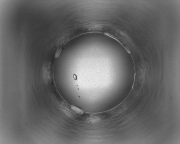 X0000070380604200606091127